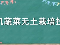 有机蔬菜无土栽培技术