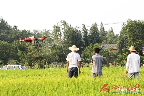 农业撒药无人机多少钱_无人打农药机一架多少钱_撒农药的无人机多少钱一架