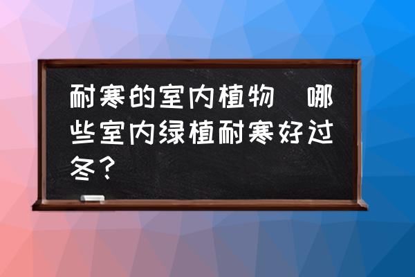 可以过冬的室内绿植有哪些_室内过冬绿植有可以浇水的吗_能过冬的室内绿植