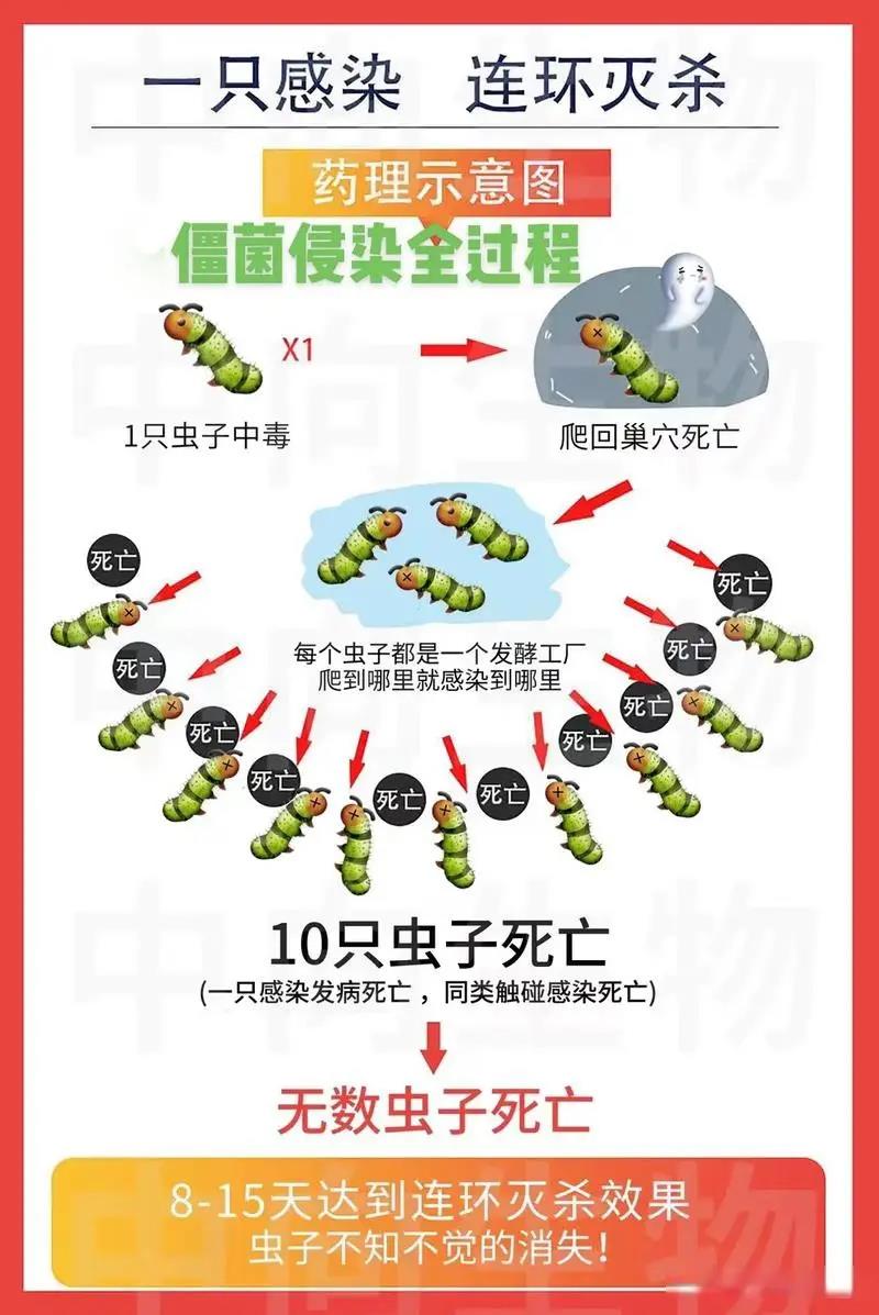 农药杀虫有因果报应吗_农药杀虫有哪些药_杀虫农药有哪些