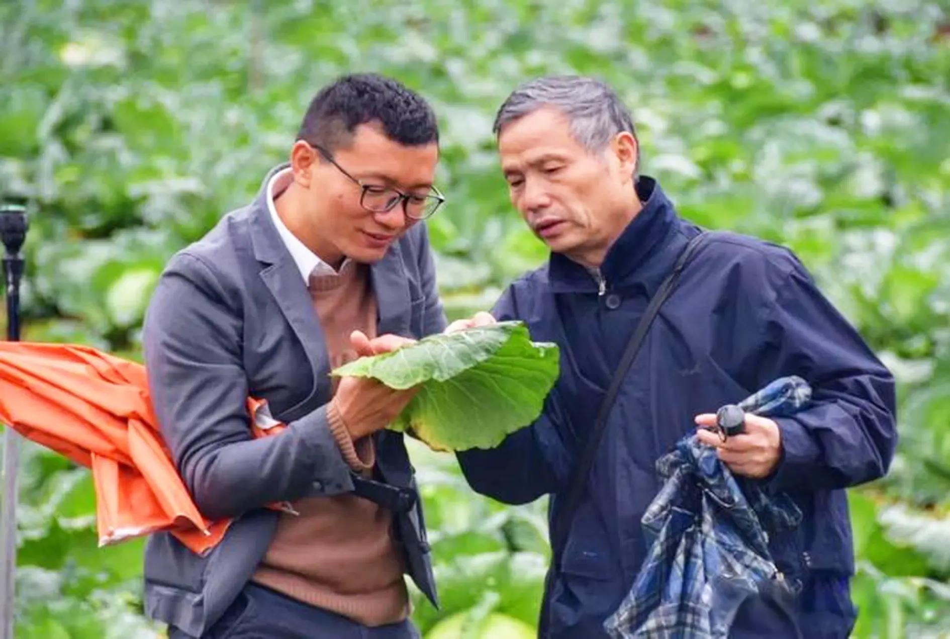 农药杀虫有因果报应吗_杀虫农药有哪些_农药杀虫有哪些药